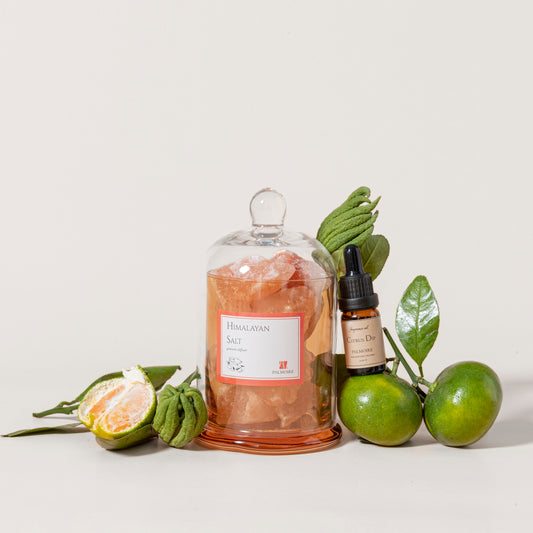 Himalayan Salt Gemstone Diffuser - PALMOIRE